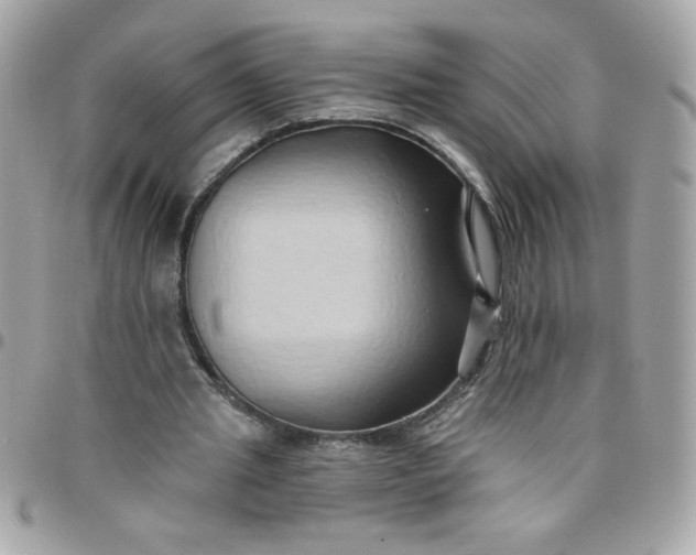 X0000097770437200803211740