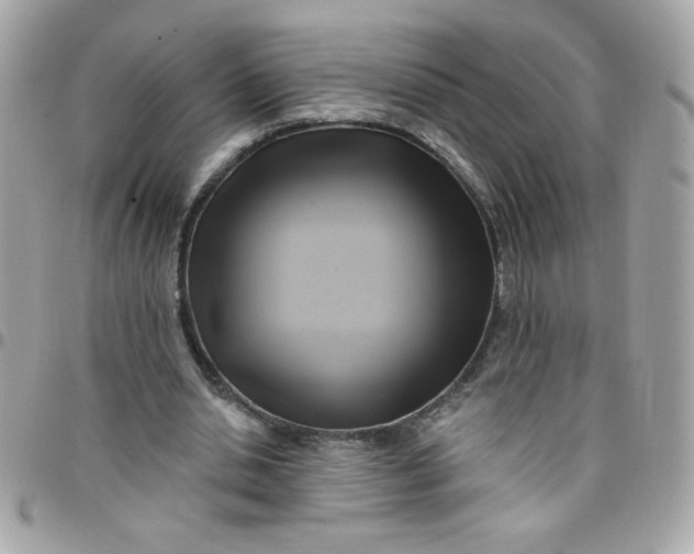 X0000097770438200803211740