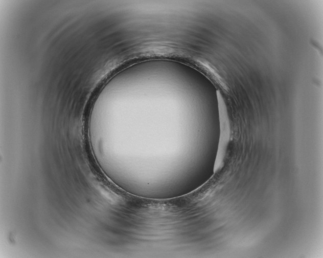 X0000097770439200803211740