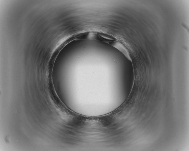 X0000097770440200803211740