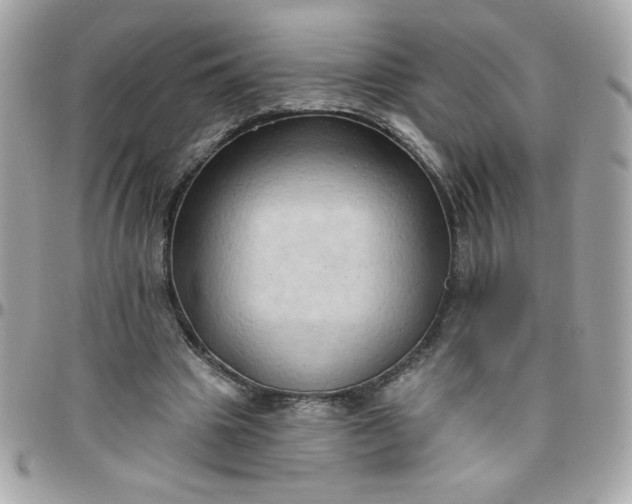 X0000097770441200803211740