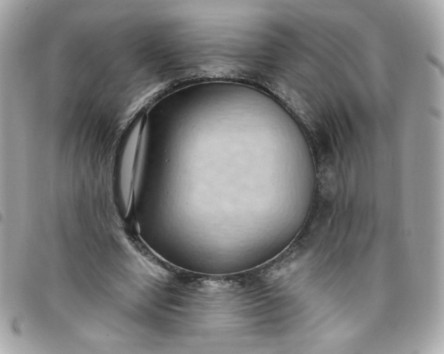 X0000097770442200803211740