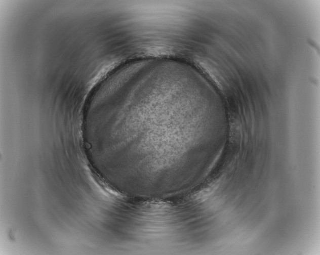 X0000097770443200803211740