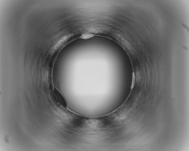 X0000097770444200803211740