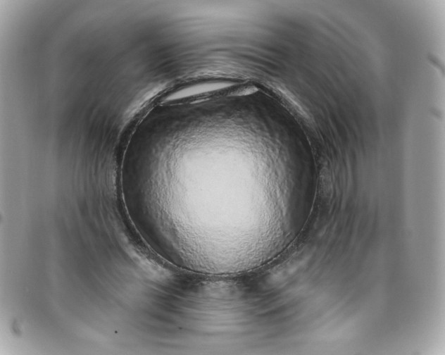 X0000097770446200803211740