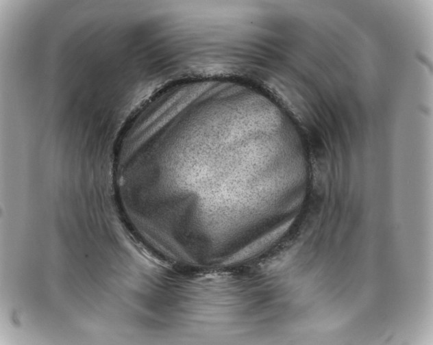 X0000097770447200803211740