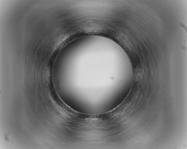 X0000097770448200803211740