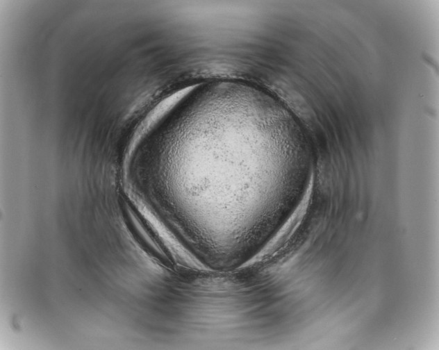 X0000097770449200803211740