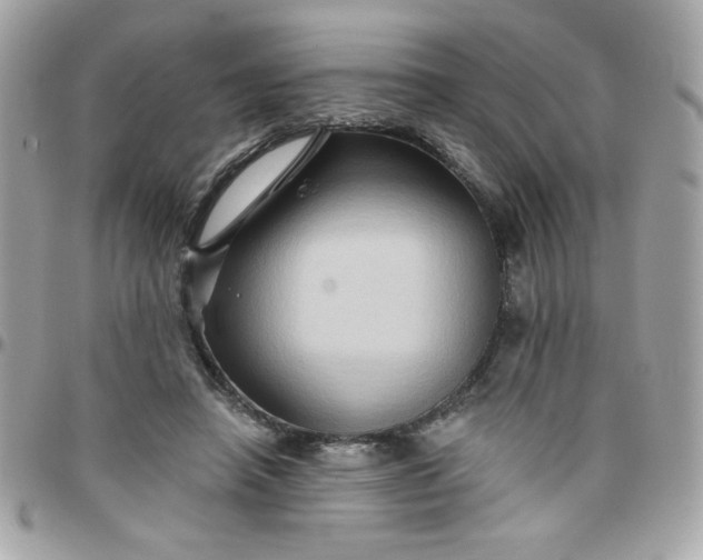 X0000097770450200803211740