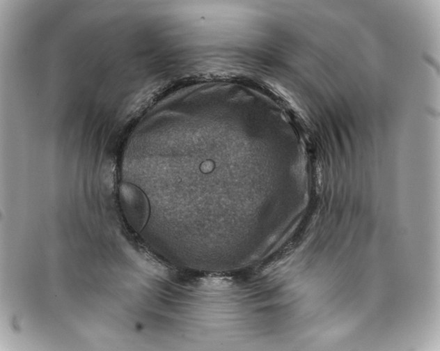 X0000097770451200803211740