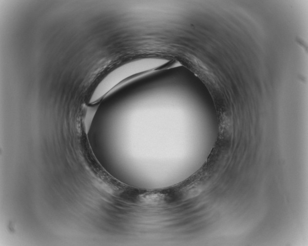 X0000097770452200803211740