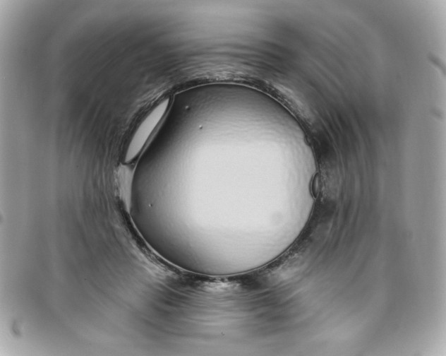 X0000097770453200803211740