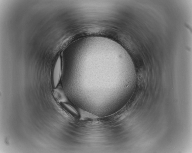 X0000097770454200803211740