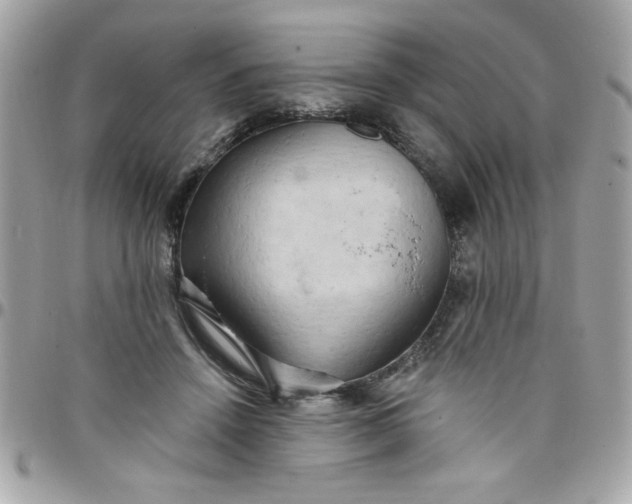 X0000097770456200803211740