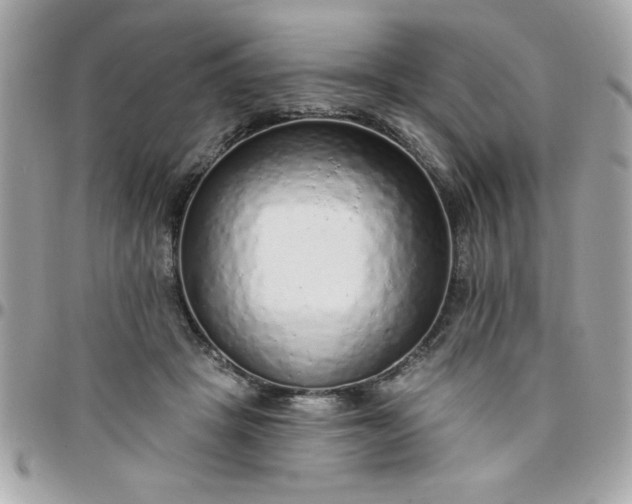 X0000097770457200803211740