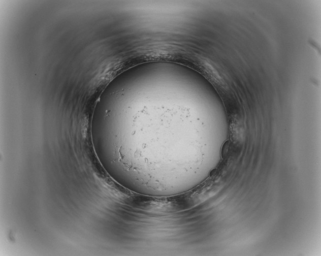 X0000097770458200803211740