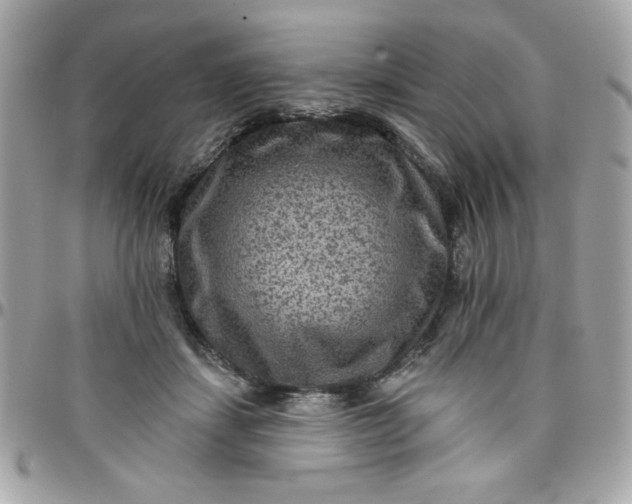 X0000097770459200803211740