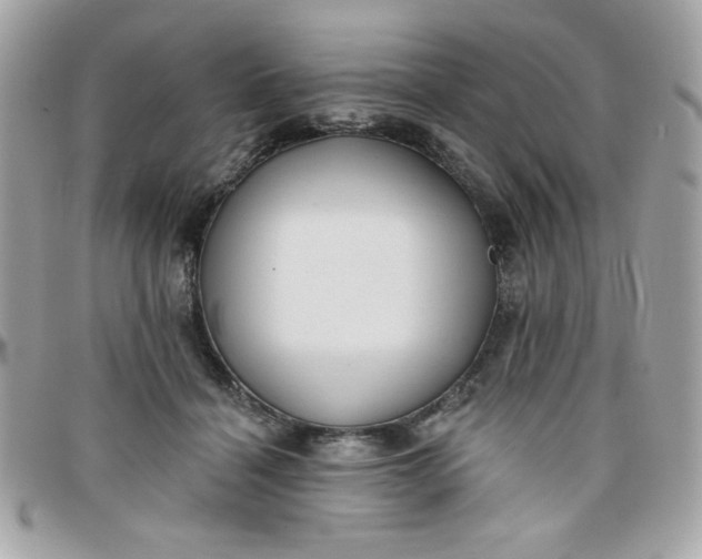 X0000097770460200803211740