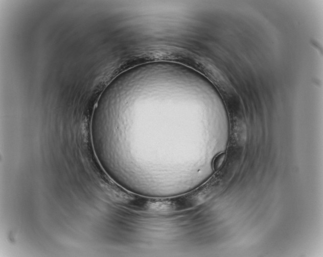 X0000097770461200803211740