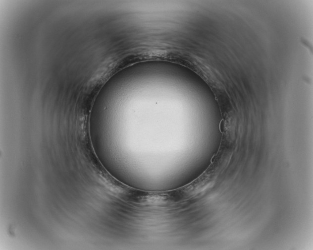 X0000097770462200803211740