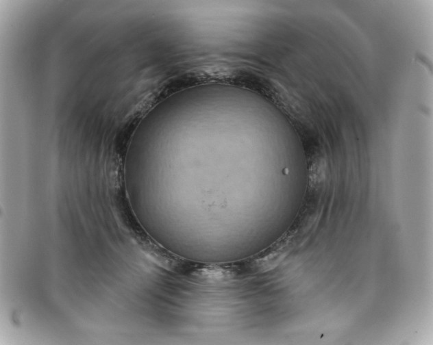 X0000097770464200803211740