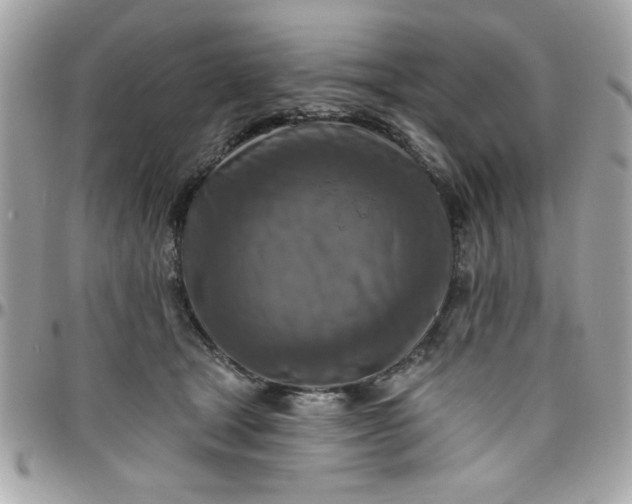 X0000097770465200803211740