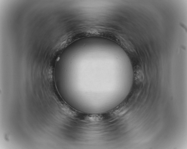 X0000097770466200803211740