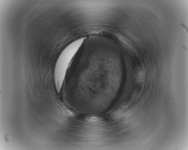 X0000097770467200803211740