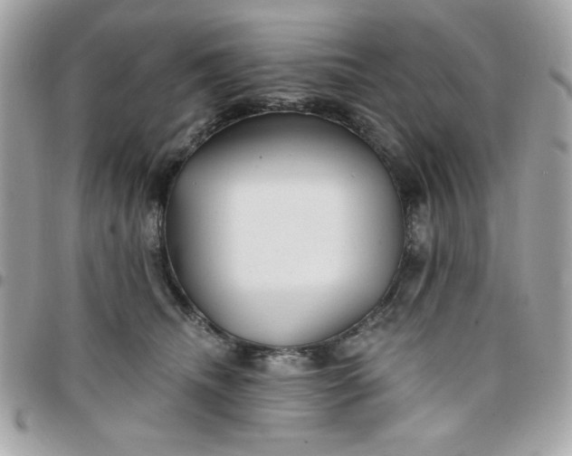 X0000097770468200803211740