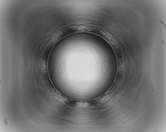 X0000097770469200803211740