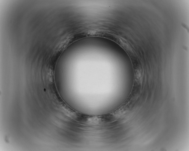 X0000097770470200803211740