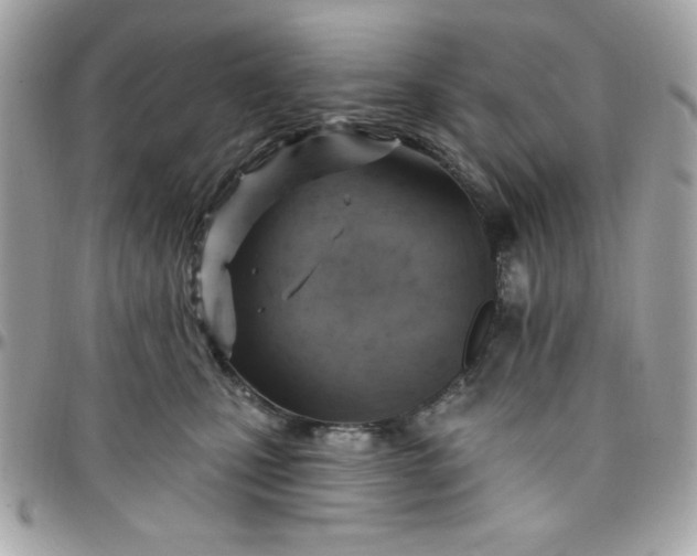 X0000097770471200803211740