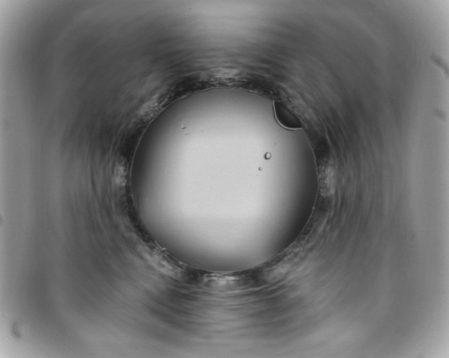 X0000097770472200803211740