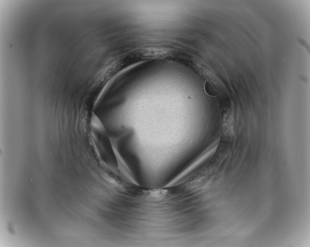 X0000097770474200803211740