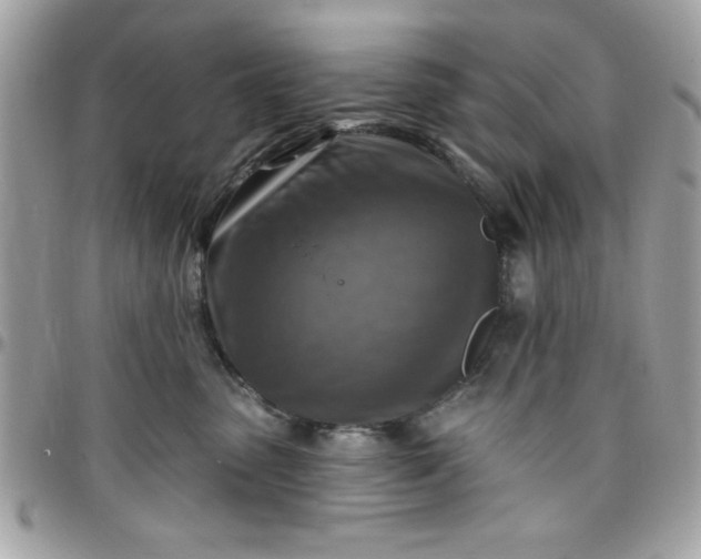 X0000097770475200803211740