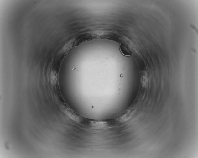 X0000097770476200803211740