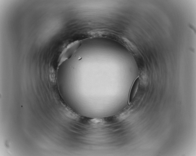 X0000097770477200803211741