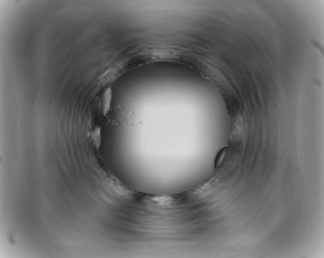 X0000097770478200803211741