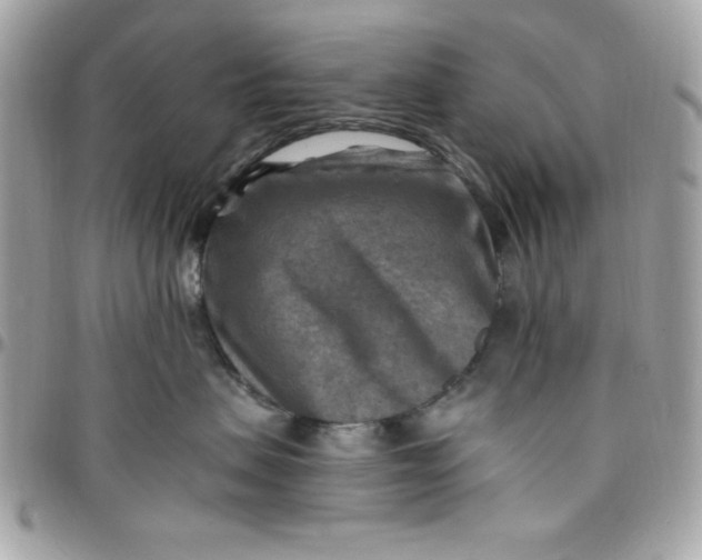 X0000097770479200803211741