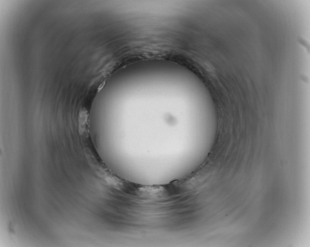 X0000097770480200803211741