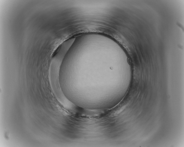 X0000097770481200803211740