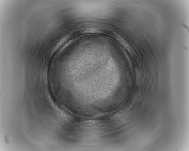 X0000097770482200803211740