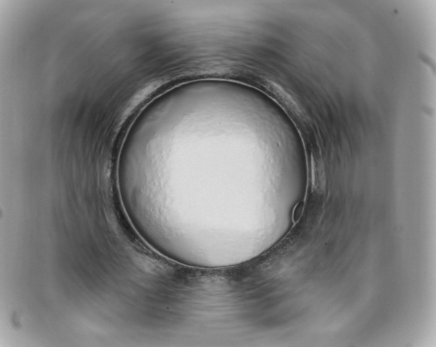 X0000097770483200803211740