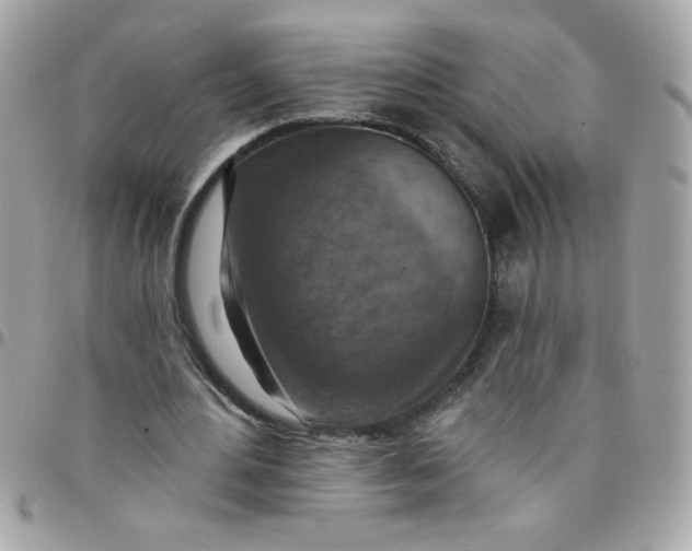 X0000097770484200803211740