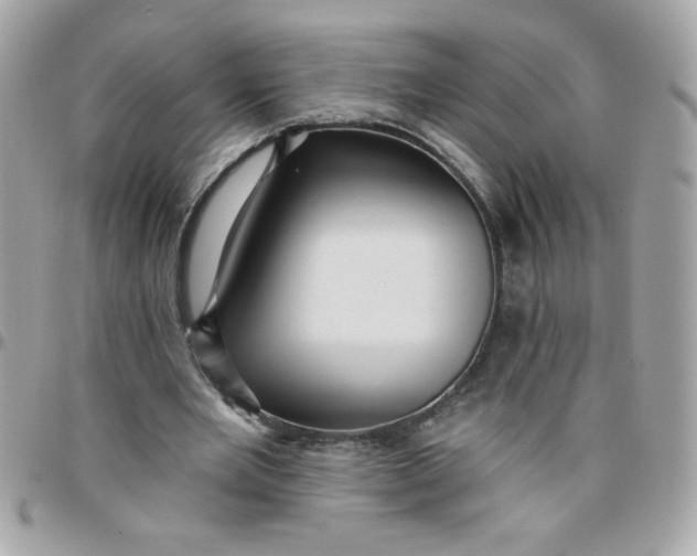 X0000097770485200803211740