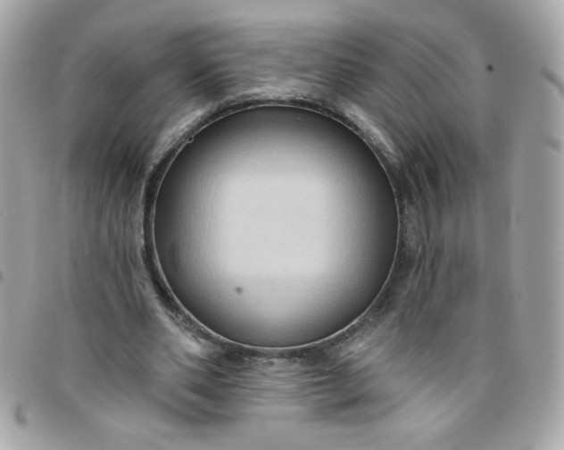 X0000097770486200803211740