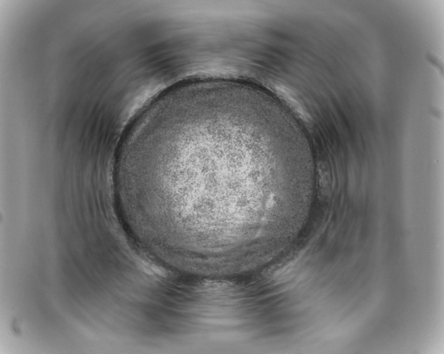 X0000097770487200803211740