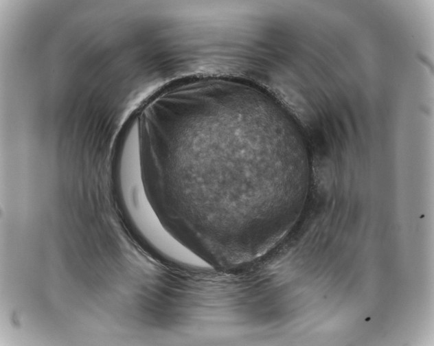 X0000097770488200803211740