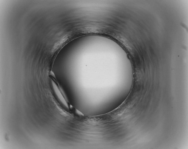 X0000097770489200803211740