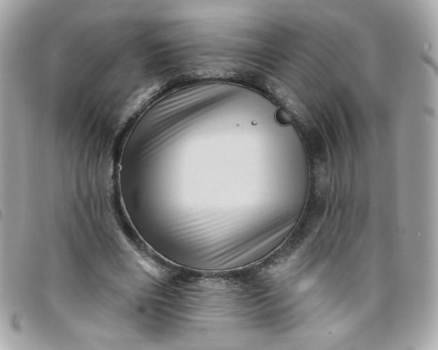 X0000097770490200803211740